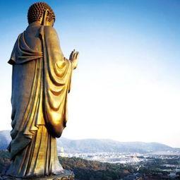 大佛最新爆料视频播放,揭秘娱乐圈惊人内幕