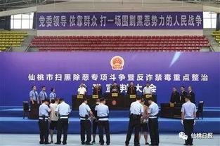 仙桃最新爆料事件新闻发布会,新闻发布会揭秘真相与进展 第1张 仙桃最新爆料事件新闻发布会,新闻发布会揭秘真相与进展 第1张